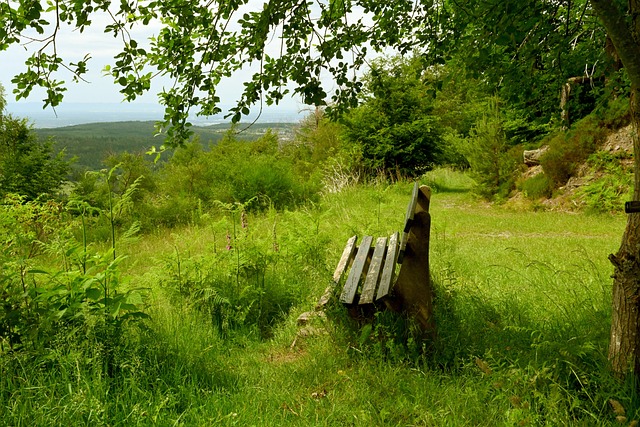 错误姿态不 错误姿态不