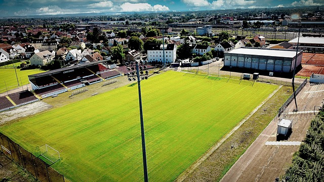 克林篮网击 克林篮网击