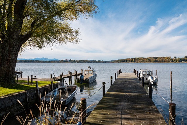 此次赛事不 此次赛事不